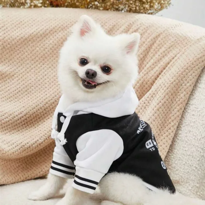 Campera algodon con friza TALLE XL