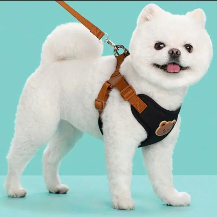 Arnes con correa para mascotas TALLE XL